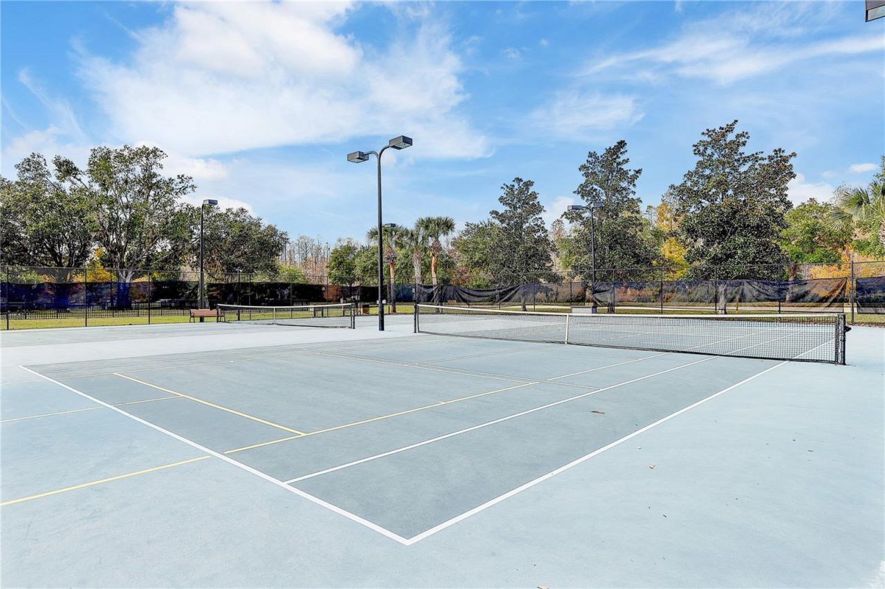 8758 Crystal Creek Court, Land O Lakes, FL 34638 Photo