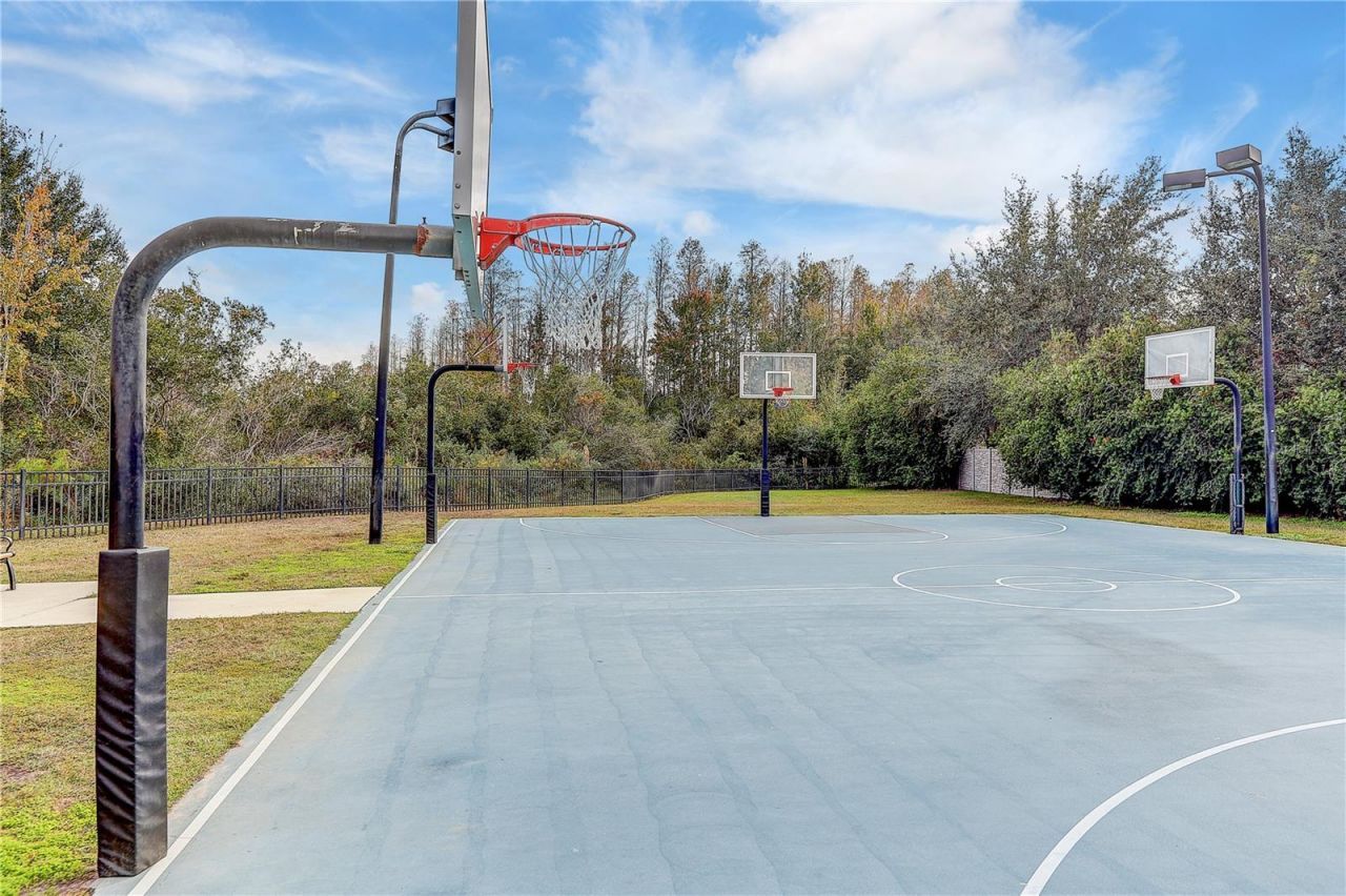 8758 Crystal Creek Court, Land O Lakes, FL 34638 Photo