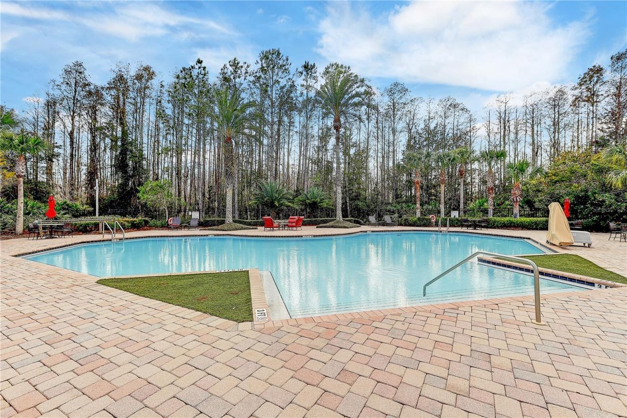 8758 Crystal Creek Court, Land O Lakes, FL 34638 Photo