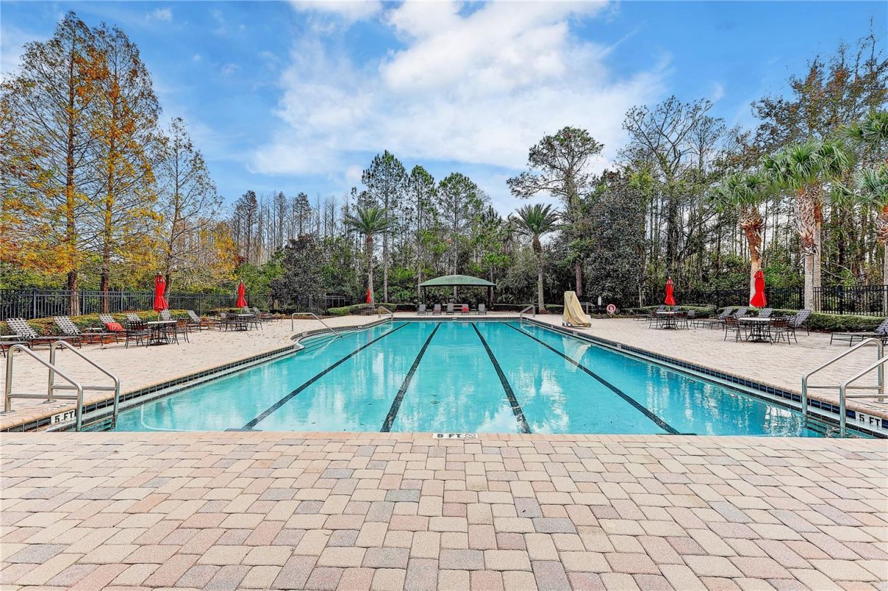 8758 Crystal Creek Court, Land O Lakes, FL 34638 Photo