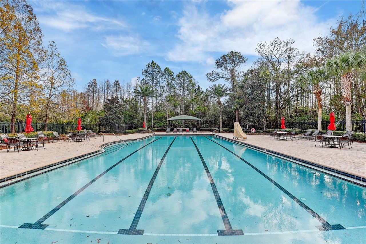 8758 Crystal Creek Court, Land O Lakes, FL 34638 Photo