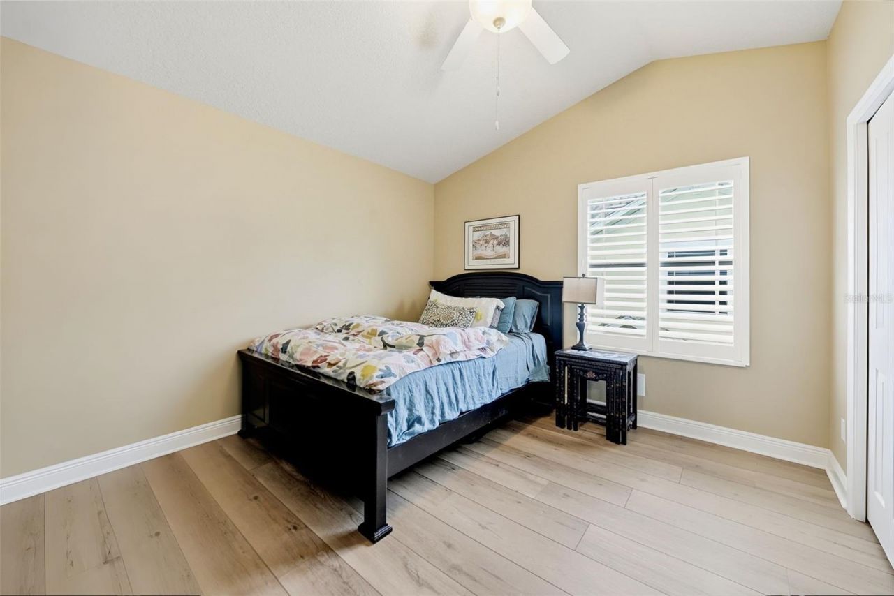 497 Harbor Ridge Drive, Palm Harbor, FL 34683 Photo