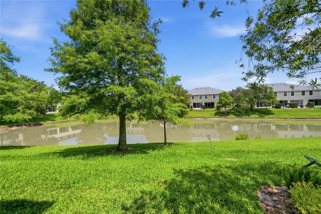 497 Harbor Ridge Drive, Palm Harbor, FL 34683 Photo