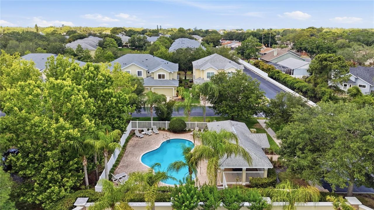 497 Harbor Ridge Drive, Palm Harbor, FL 34683 Photo