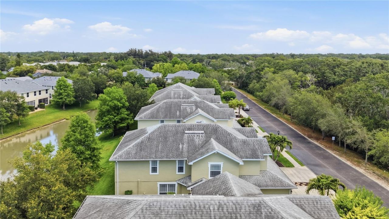 497 Harbor Ridge Drive, Palm Harbor, FL 34683 Photo