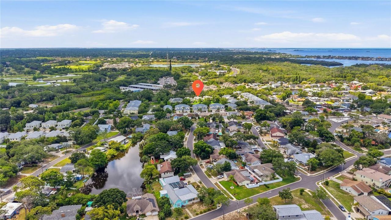497 Harbor Ridge Drive, Palm Harbor, FL 34683 Photo