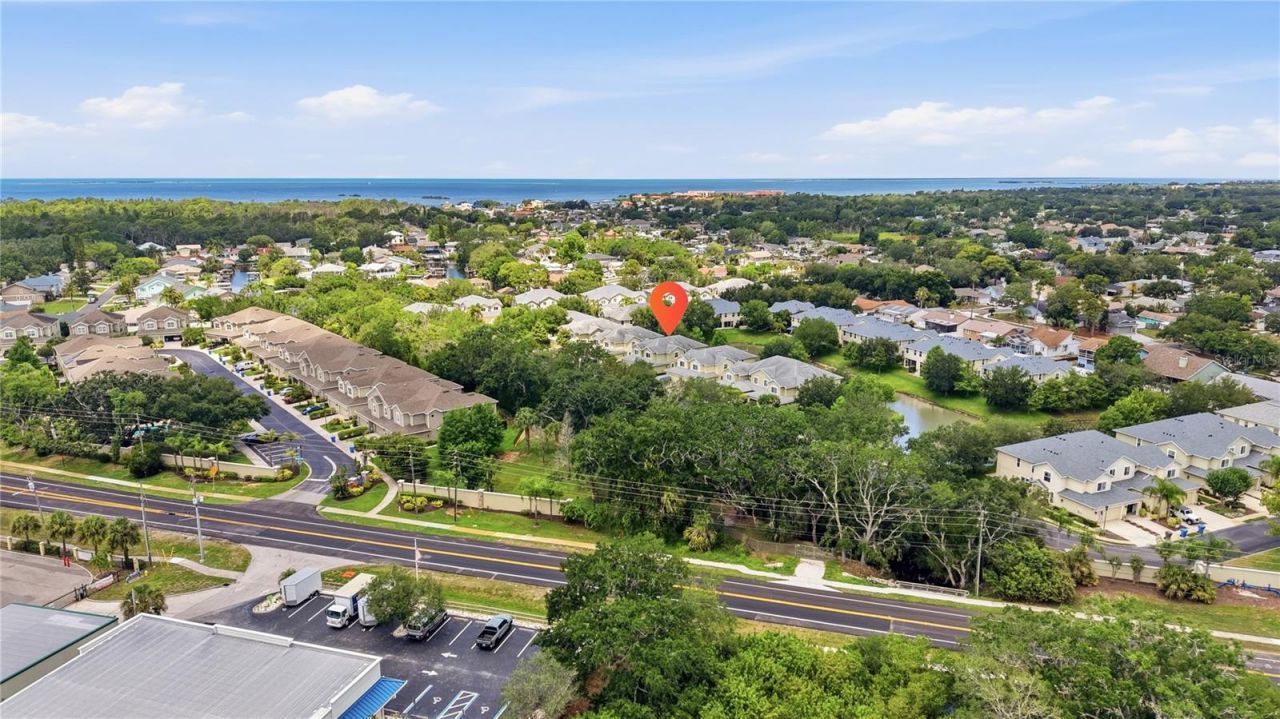 497 Harbor Ridge Drive, Palm Harbor, FL 34683 Photo