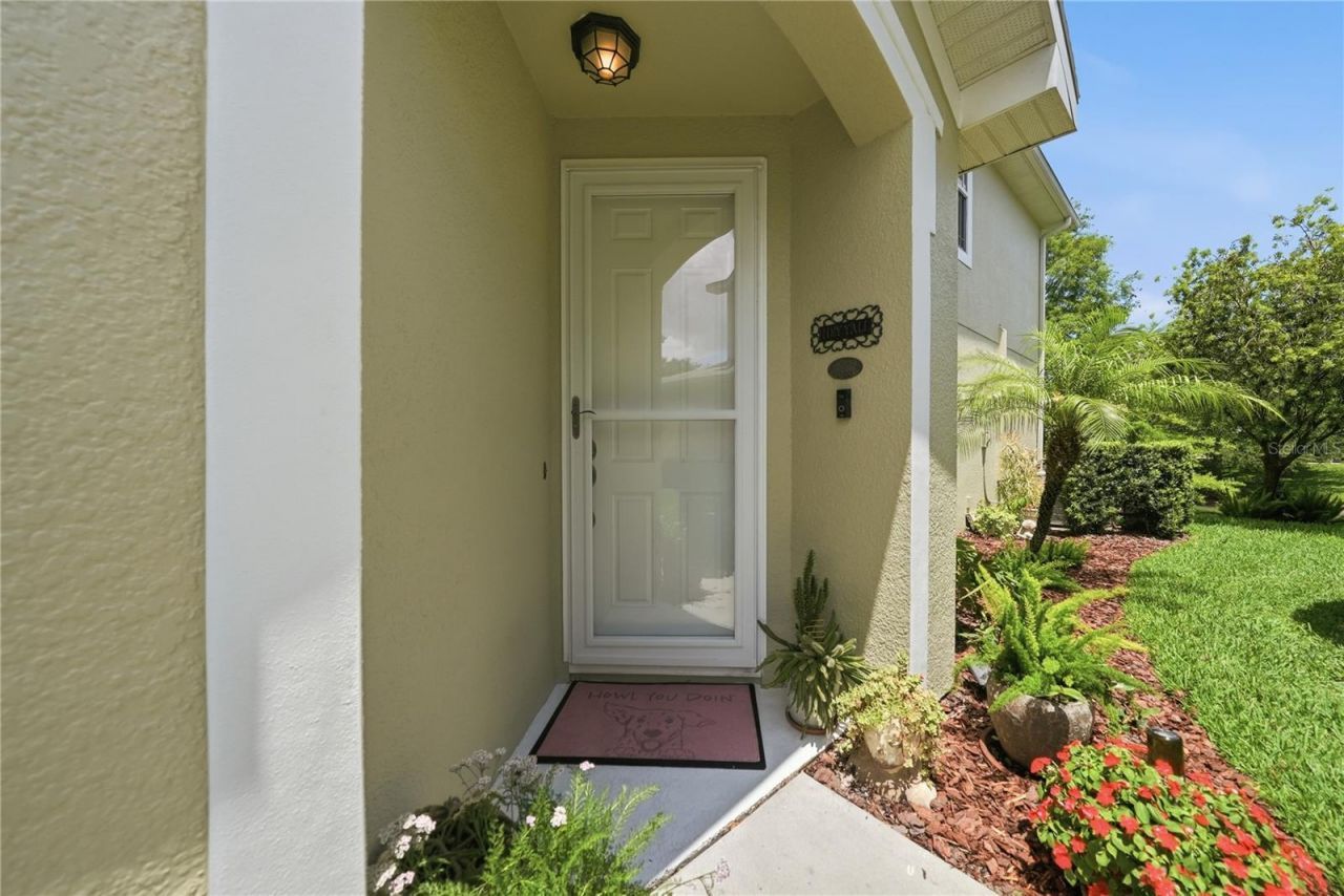 497 Harbor Ridge Drive, Palm Harbor, FL 34683 Photo