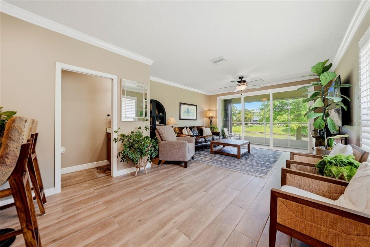 497 Harbor Ridge Drive, Palm Harbor, FL 34683 Photo