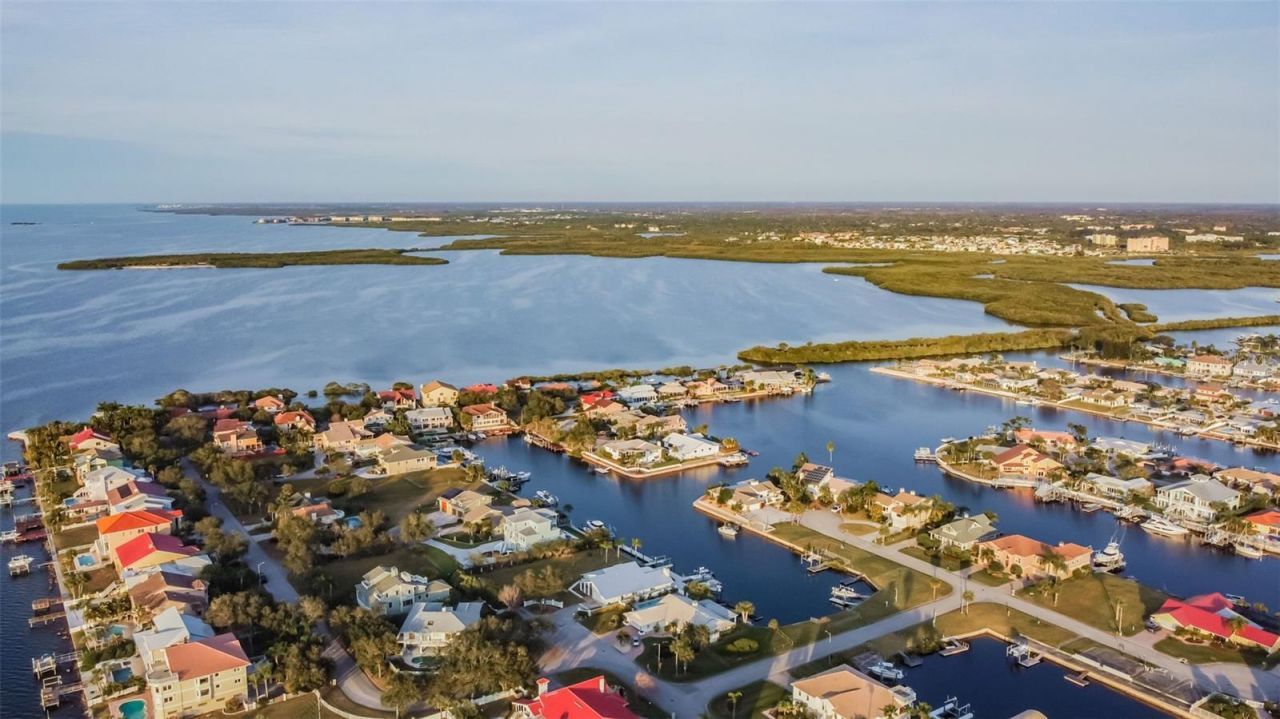 4234 Floramar Terrace, New Port Richey, FL 34652 Photo