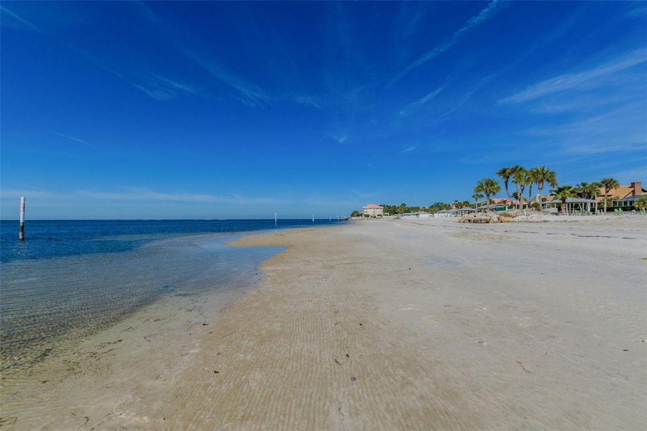 4234 Floramar Terrace, New Port Richey, FL 34652 Photo