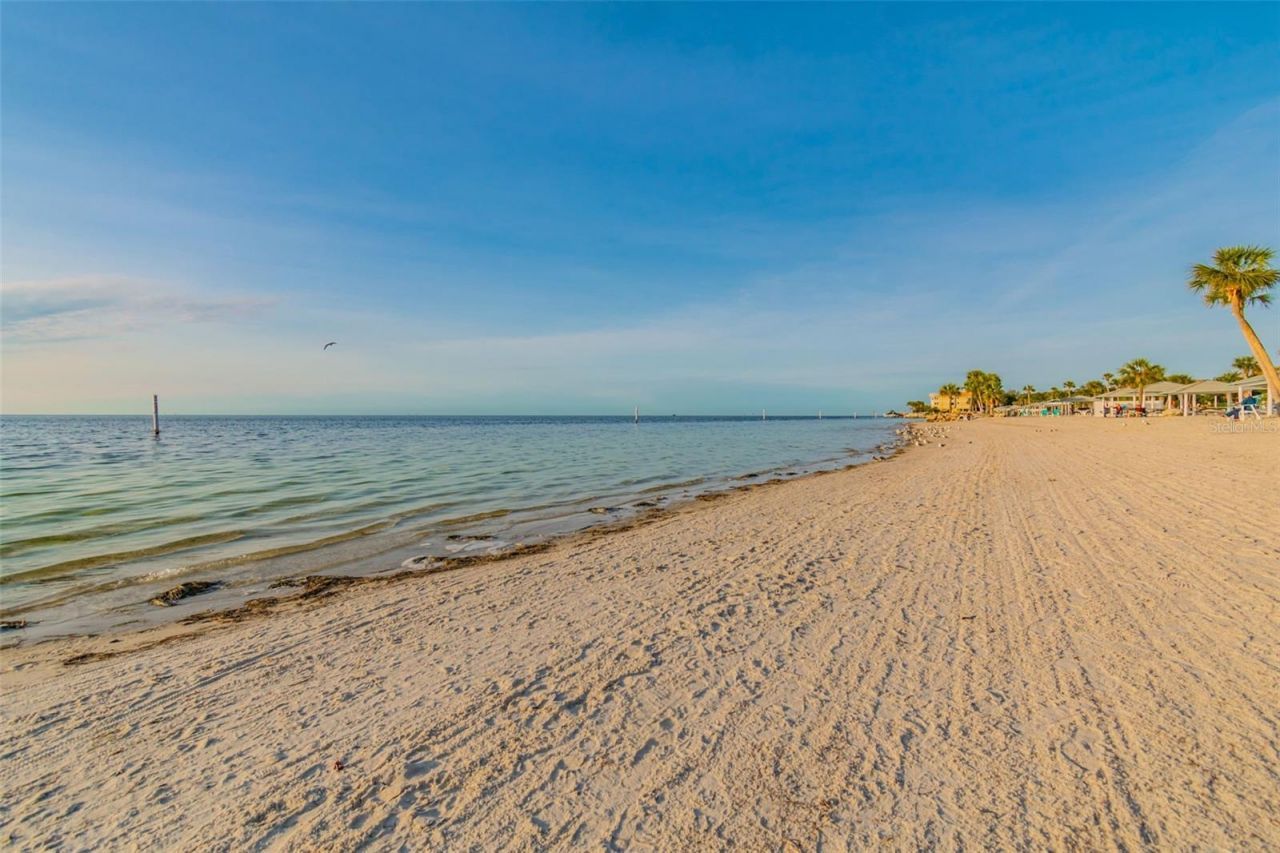 4234 Floramar Terrace, New Port Richey, FL 34652 Photo