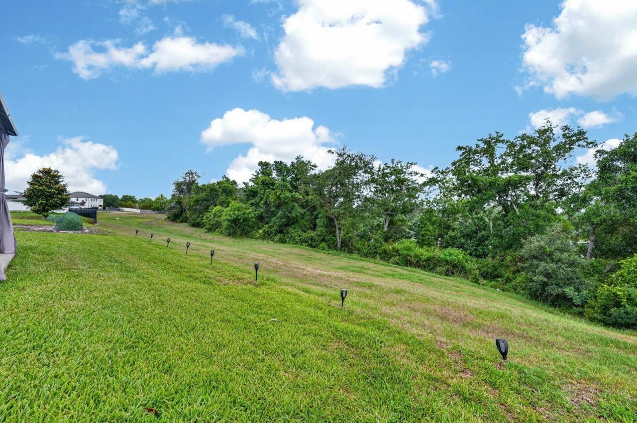 1196 Pearl Tree Road, Deltona, FL 32725 Photo
