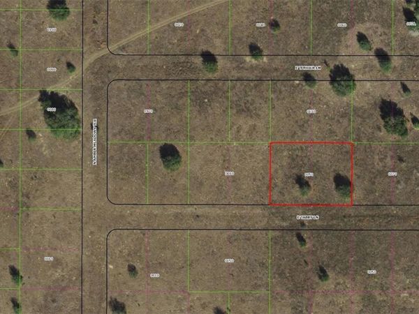 2307 E TABBY LANE , INVERNESS, FL 34453