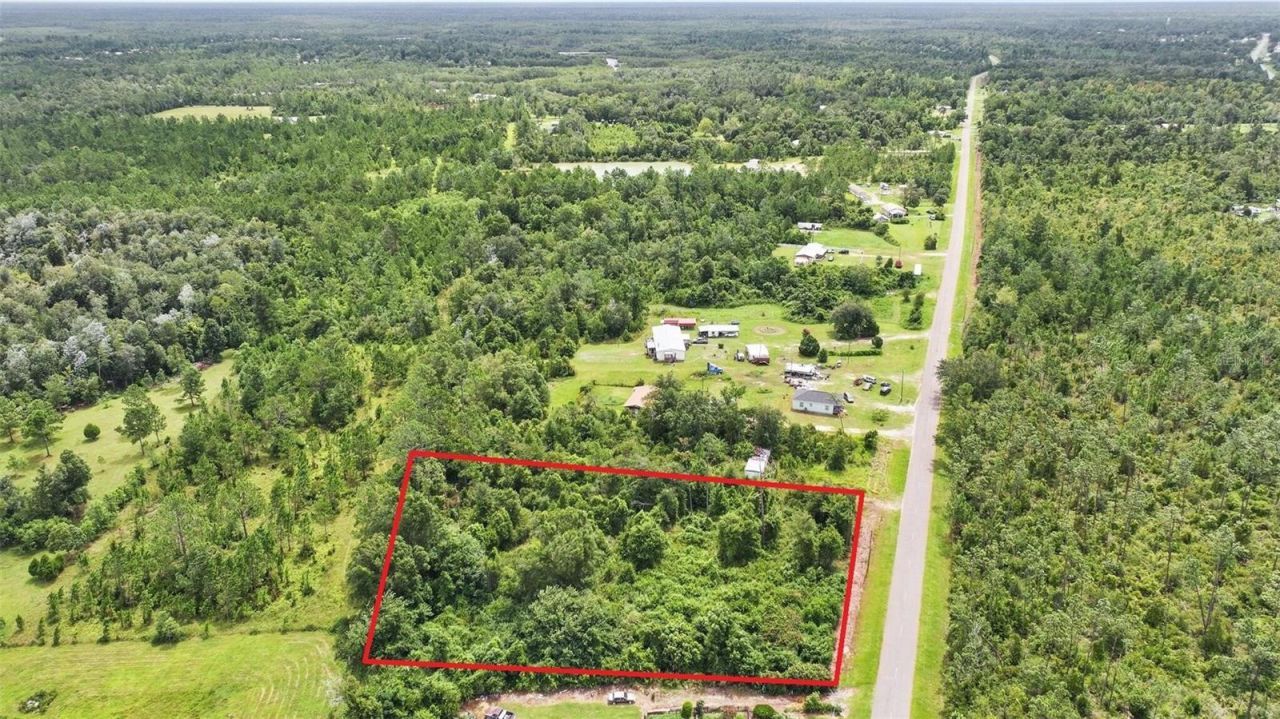 Old Panama, Wewahitchka, FL 32465 Photo