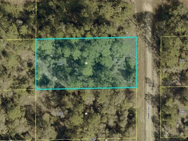 1521 HENRY AVENUE , LEHIGH ACRES, FL 33972