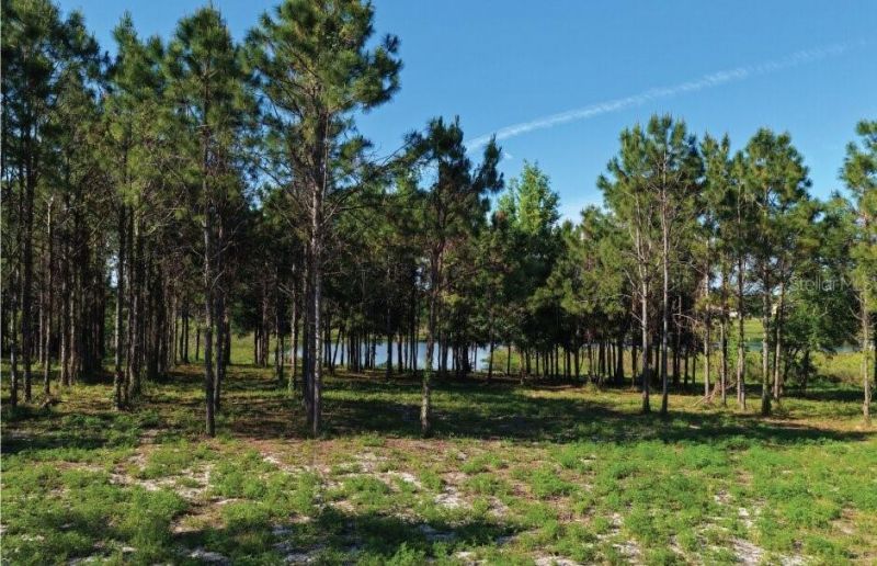 9717 Morton Jones Road, Gotha, FL 34734 Photo