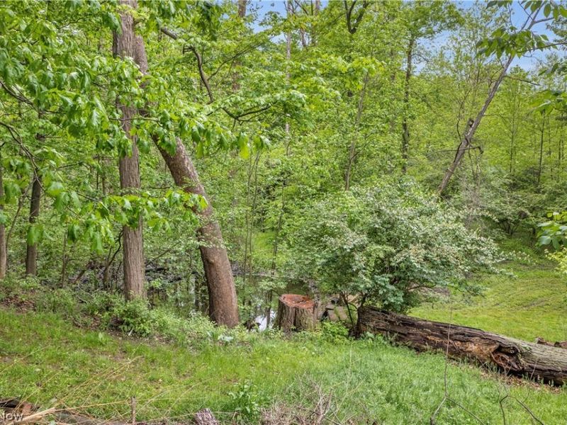 8704 Columbia Road, Olmsted Falls, OH 44138 Photo 34
