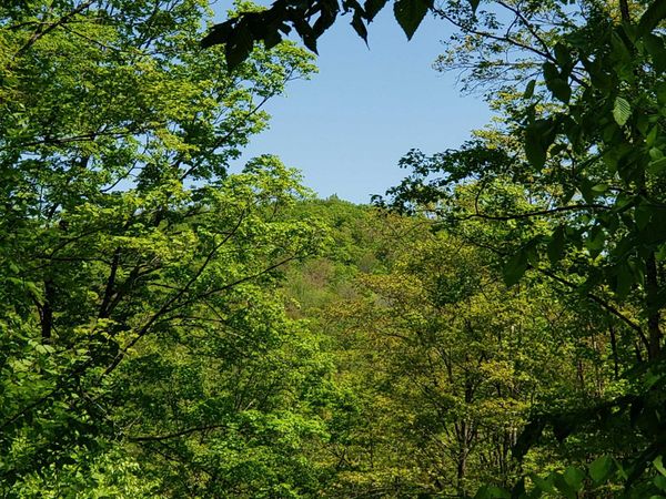 00 Beaver Meadow Road, Roxbury, VT 05669