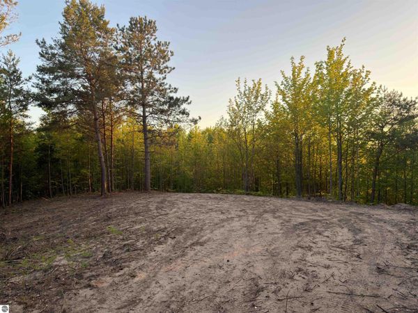 3779 Scholl Road, Mancelona, MI 49659