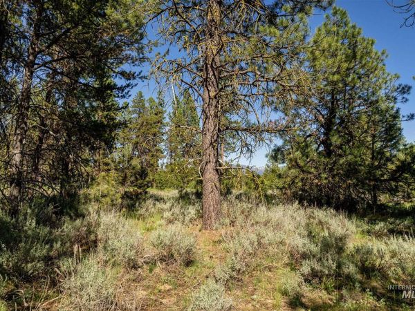 110 Fawnlilly, McCall, ID 83638