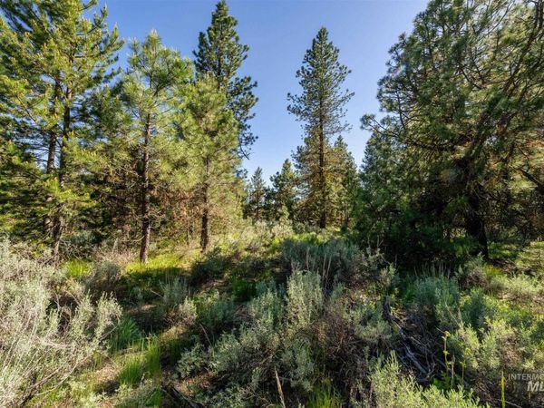 110 Fawnlilly, McCall, ID 83638