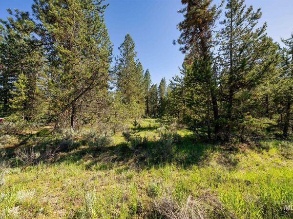 110 Fawnlilly, McCall, ID 83638