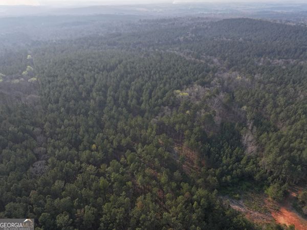 117 +/- Acres on McCosh Mill Rd., Franklin, GA 30217