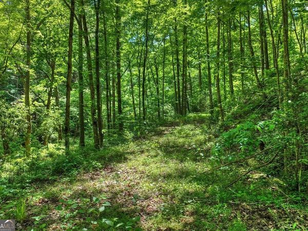 LOT 106 Mountain Creek Hollow Drive, Talking Rock, GA 30175