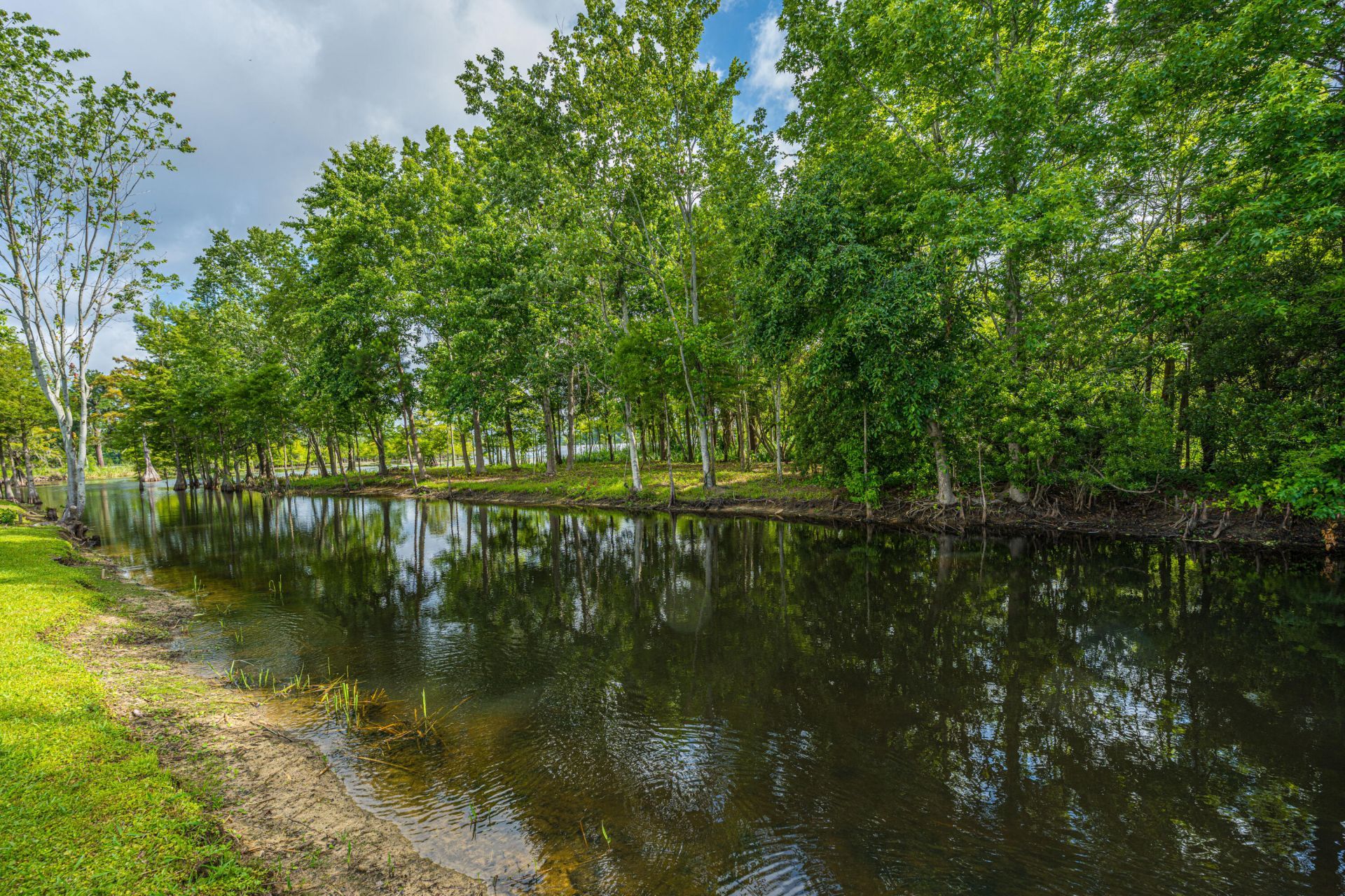 1232 Longpoint Road Photo 45