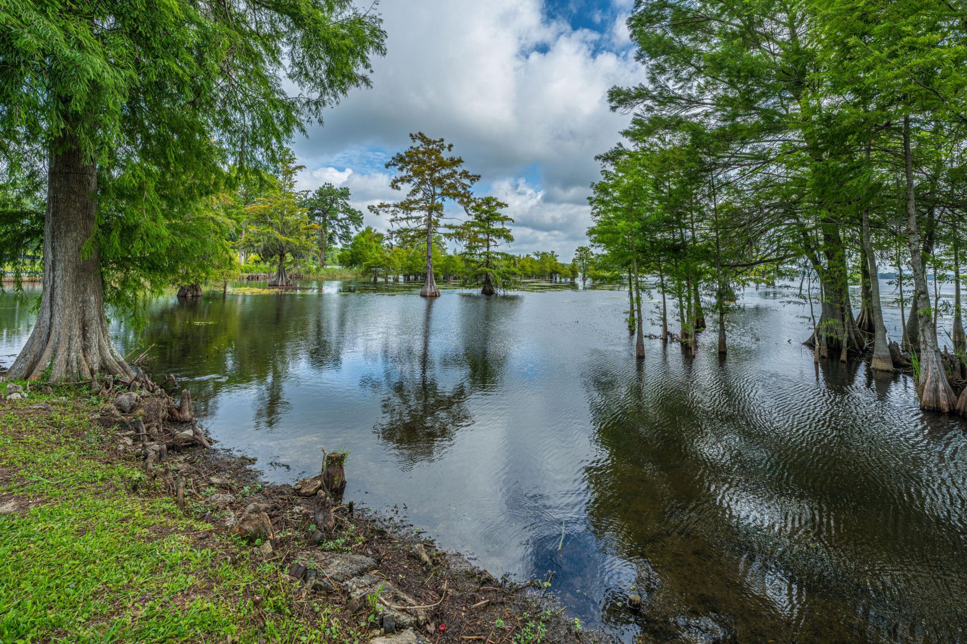 1232 Longpoint Road Photo 47