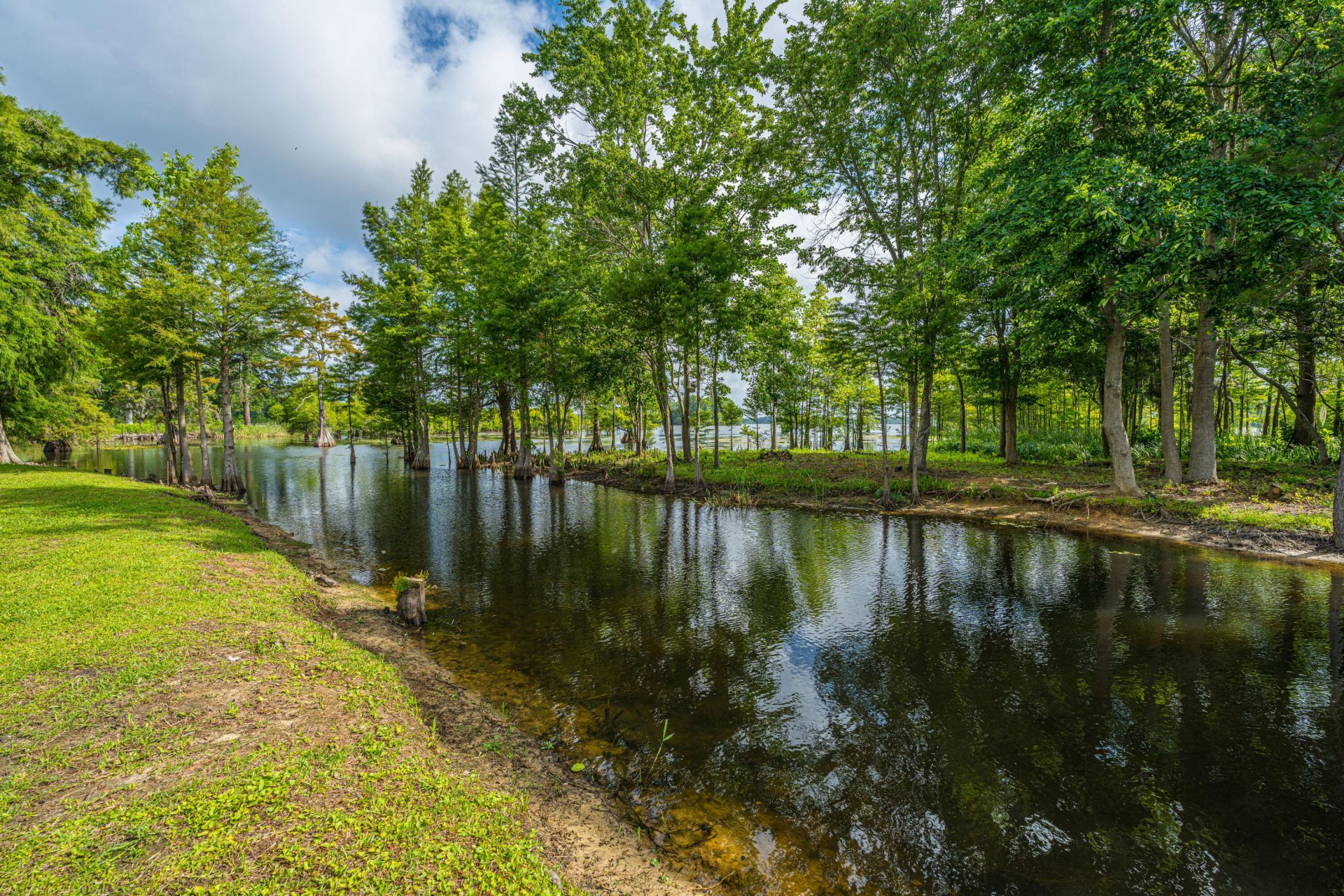 1232 Longpoint Road Photo 48
