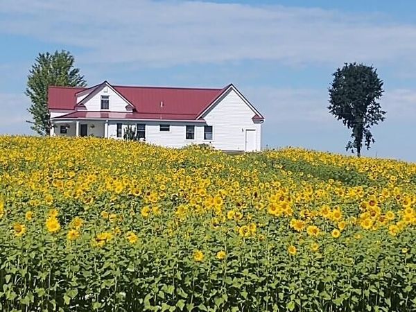 4072 20 Mile Road, Marion, MI 49665