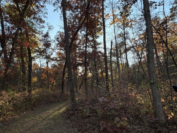 V/L N Tamarack Road, Howard City, MI 49329