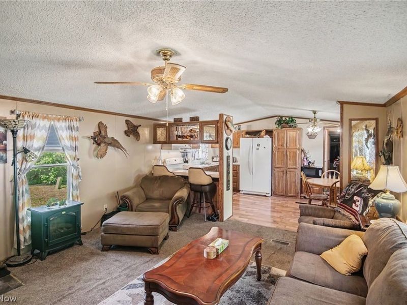 723 Country Pines Drive SW, Warren, OH 44481 Photo 2