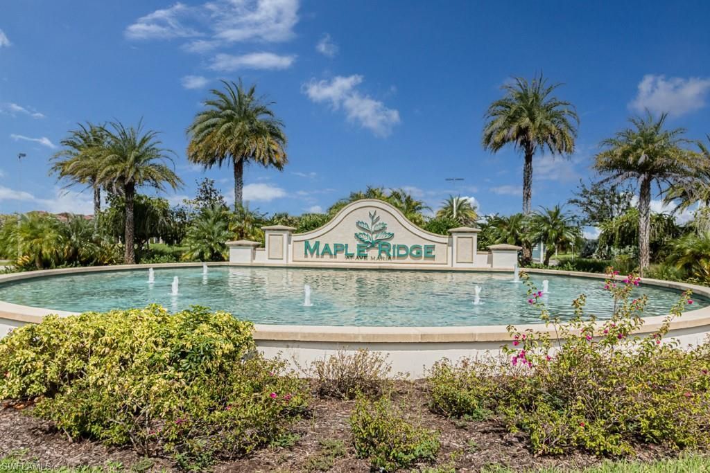5255 Karlia Dr, Ave Maria, FL 34142 Photo