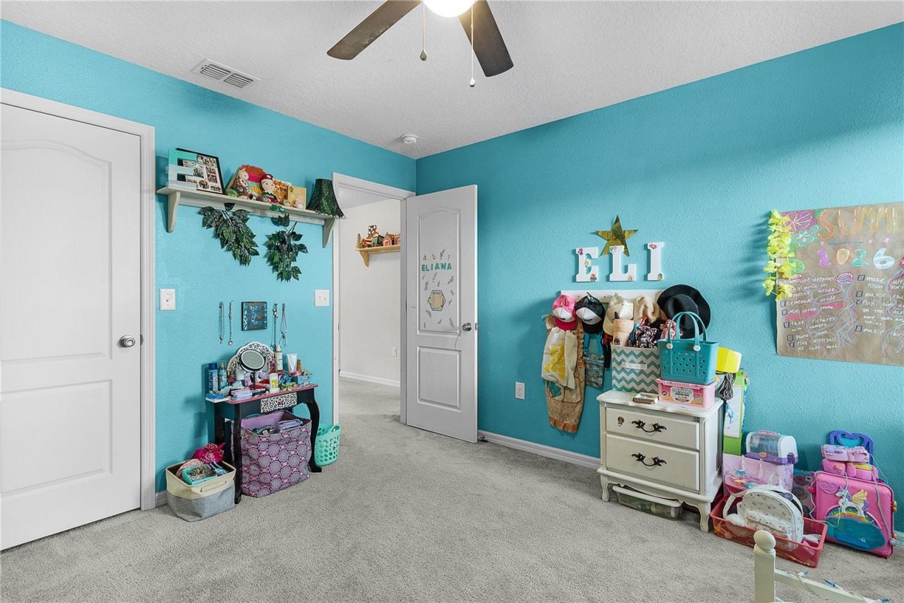 6416 Domenico Court, Groveland, FL 34736 Photo