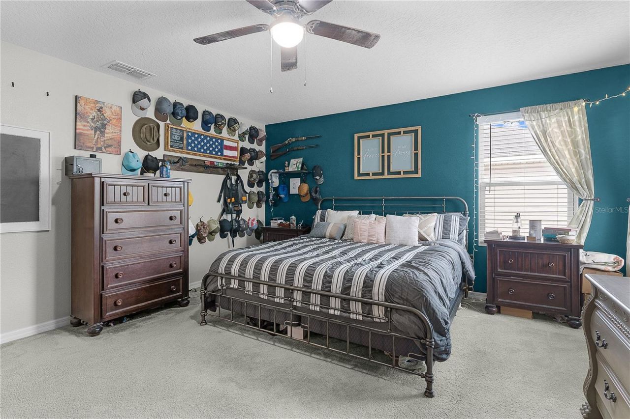 6416 Domenico Court, Groveland, FL 34736 Photo