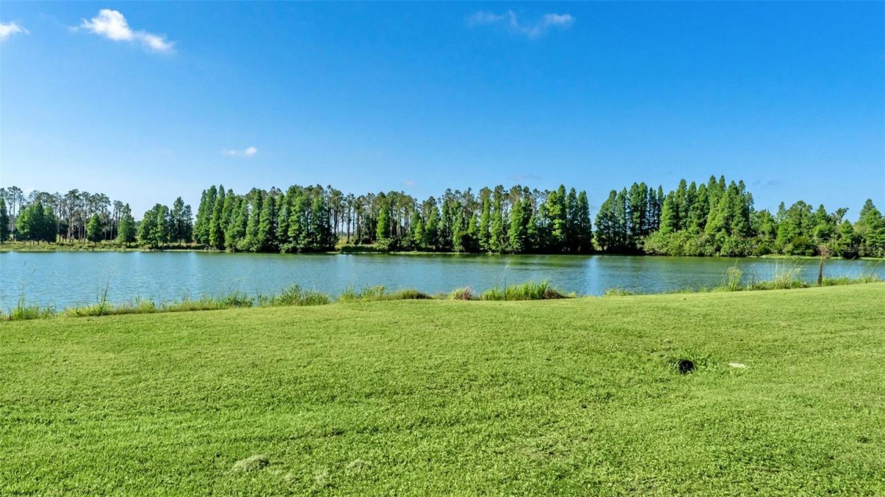 1044 Timbers Drive, Fort Meade, FL 33841 Photo