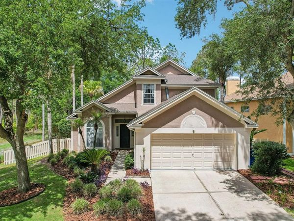 17702 LONG RIDGE ROAD, TAMPA, FL 33647