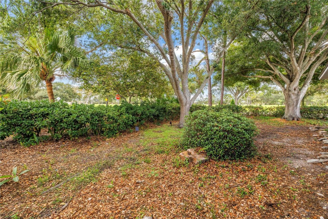 7400 19th Avenue N, Saint Petersburg, FL 33710 Photo