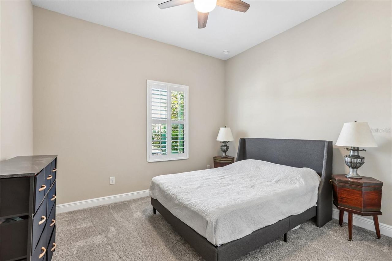 14142 Swiss Bridge Drive, Riverview, FL 33579 Photo