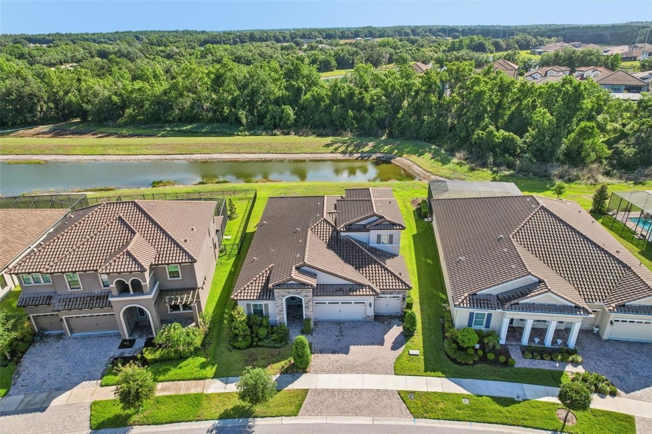 14142 Swiss Bridge Drive, Riverview, FL 33579 Photo
