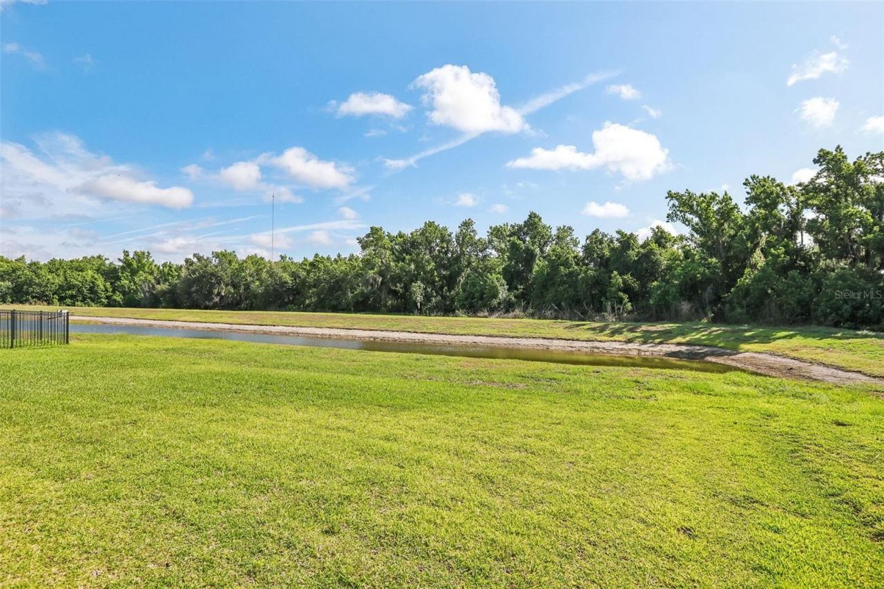 14142 Swiss Bridge Drive, Riverview, FL 33579 Photo