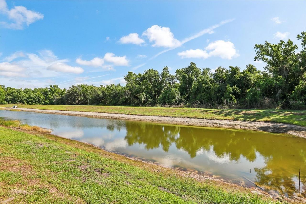 14142 Swiss Bridge Drive, Riverview, FL 33579 Photo