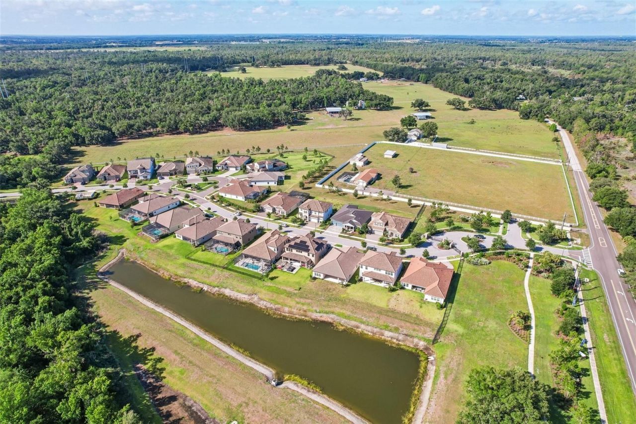 14142 Swiss Bridge Drive, Riverview, FL 33579 Photo