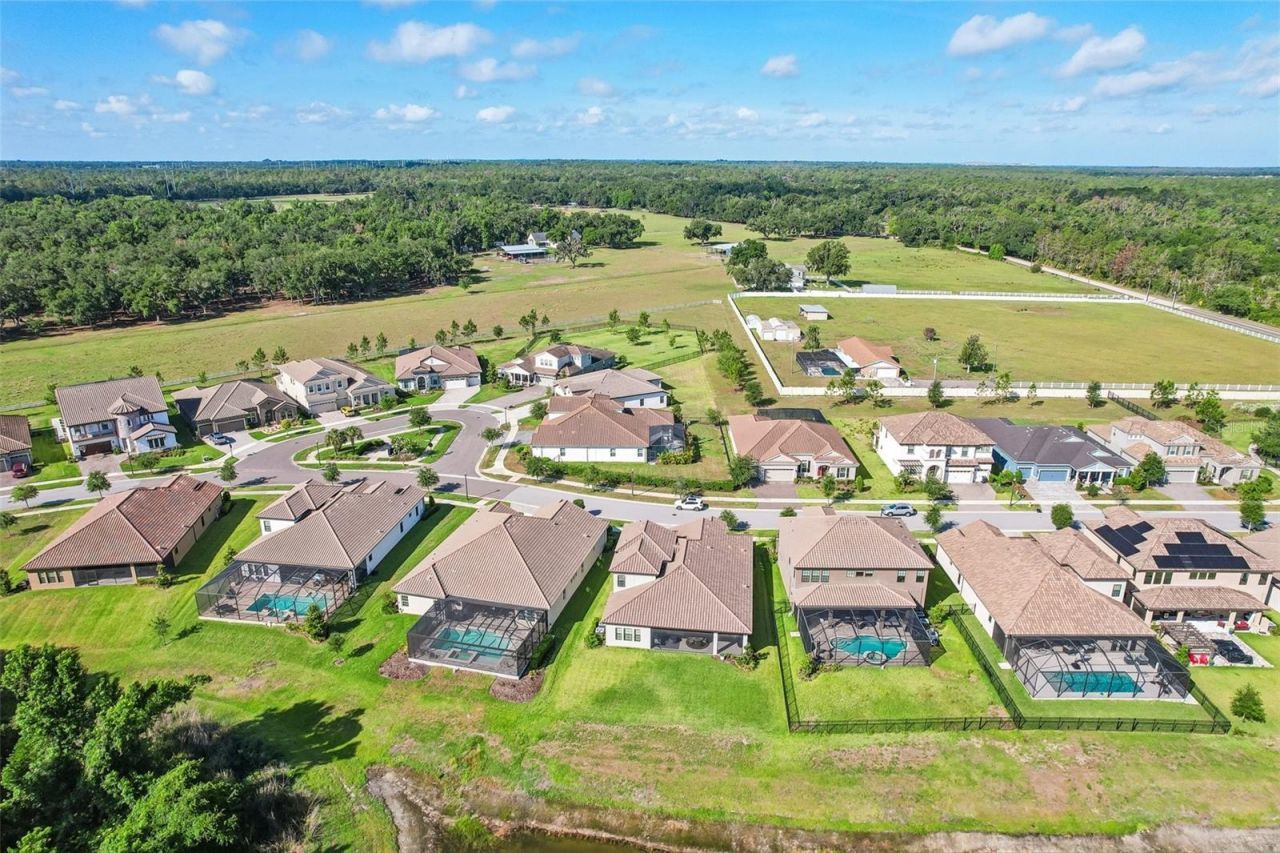 14142 Swiss Bridge Drive, Riverview, FL 33579 Photo