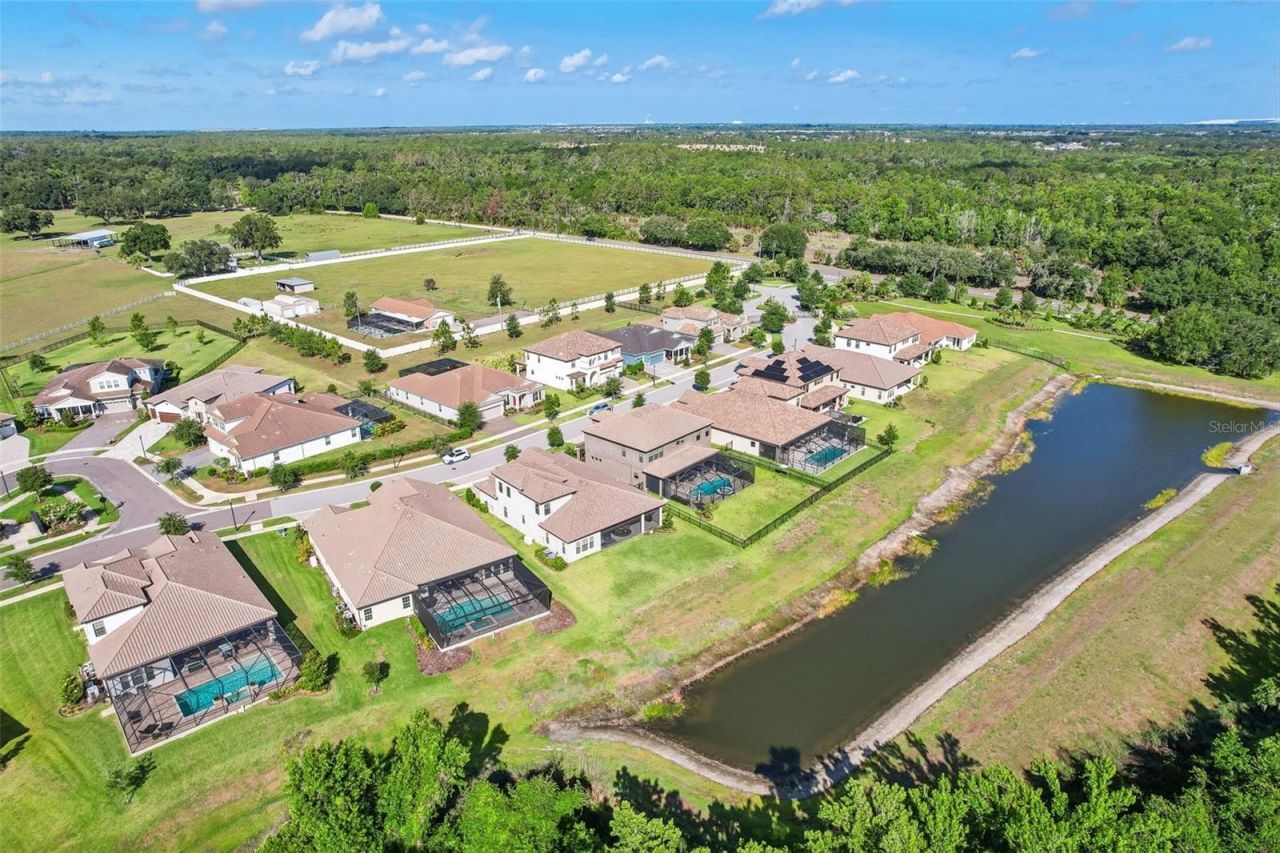 14142 Swiss Bridge Drive, Riverview, FL 33579 Photo