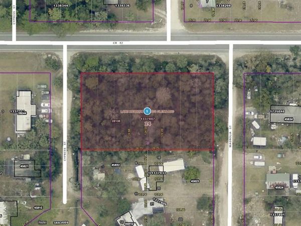 28108 COUNTY ROAD 42 , PAISLEY, FL 32767
