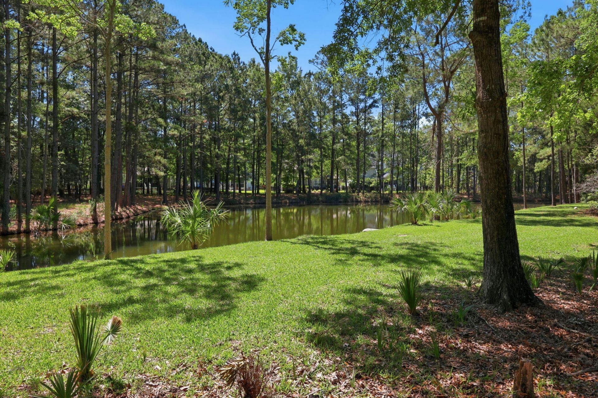 2041 Ashburton Way Photo 24